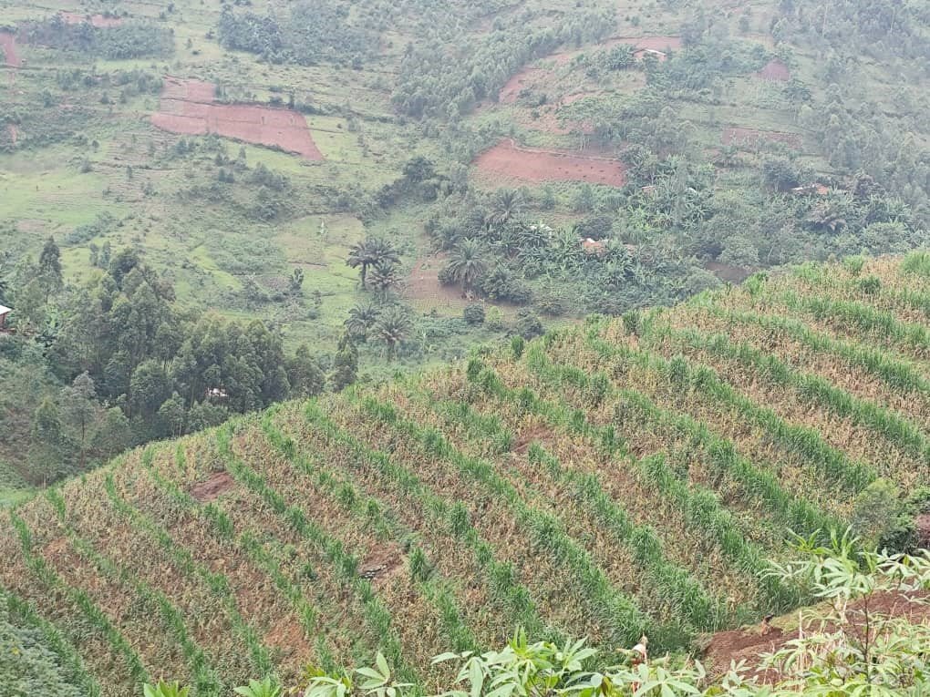Paysage du Burundi, symbolisant le développement communautaire